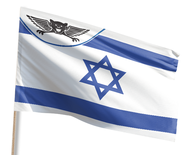 דגל ישראל בשילוב סמל סיירת גולני