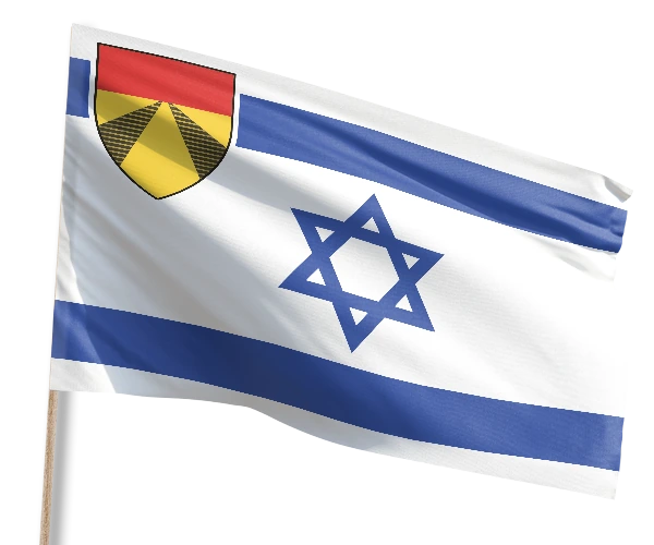 דגל משולב ישראל וחטיבה 401